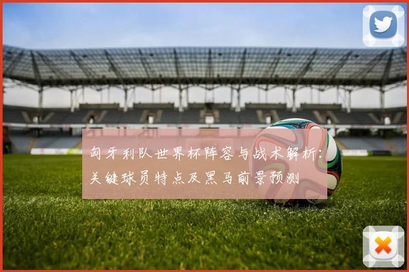 匈牙利队世界杯阵容与战术解析：关键球员特点及黑马前景预测